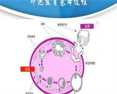 权威三代试管医院可靠性与专业实力深度解析