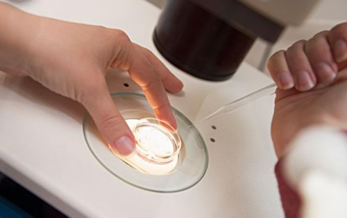 山西供卵费用与捐卵联系指南及试管助孕建议