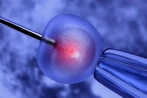 40岁供卵代怀包成功价格与高龄借卵试管指南