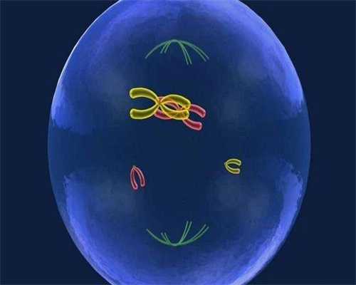 重庆代生机构技术实力与费用对比分析
