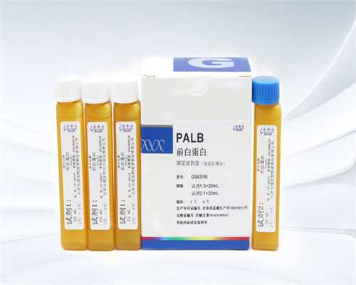 邢台供卵试管助孕指南：正规代怀机构与包成功套餐解析