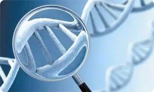 重庆三代试管助孕流程与男宝代生费用明细解析