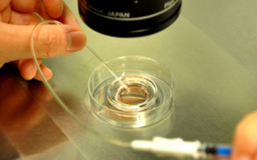 广州捐卵与湘潭供卵价格解析及代生服务指南