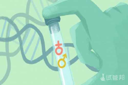 互联网+辅助生殖技术信息系统促进生殖医学健康发展