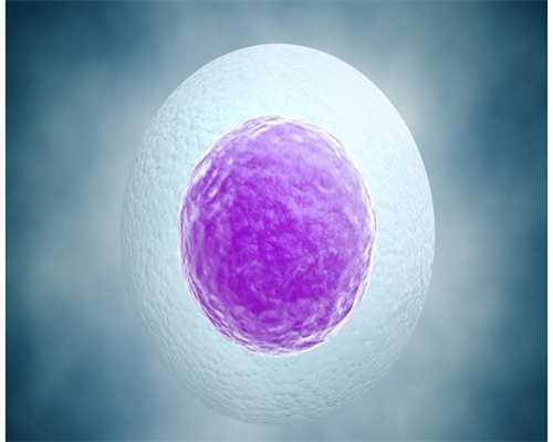 河北借卵三代试管助孕包男孩捐卵盲捐价格解析与代生套餐指南