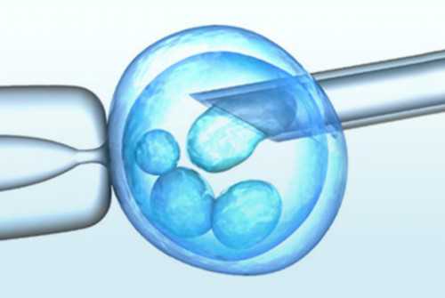 重庆巫溪县代生服务可靠吗？专业助孕机构选择指南