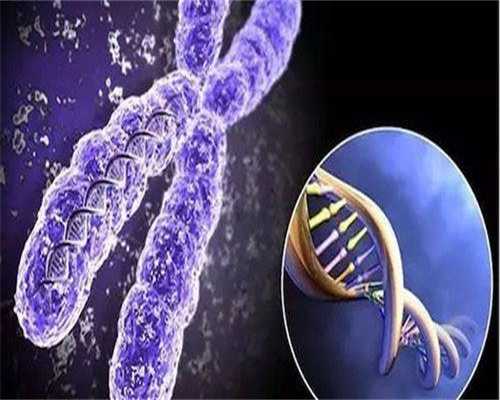 潮州供卵成功率借卵试管助孕包男孩费用国内代怀包男孩