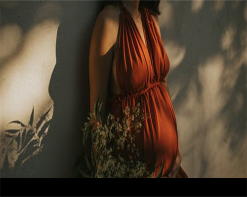 温州试管助孕生宝宝费用详解及流程指南