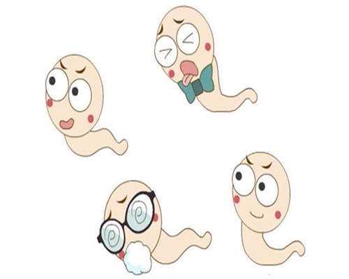 三代试管助孕包男孩费用与成功率解析