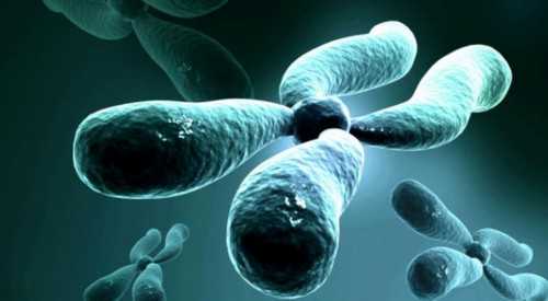 海南安琪儿医院试管助孕包男孩代怀孕费用及流程解析