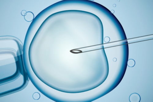 香港助孕捐卵费用解析与代生服务指南