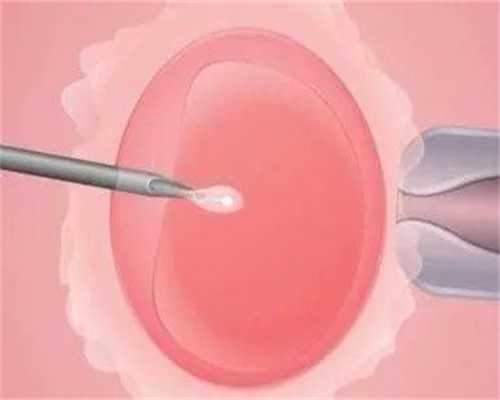 国内供卵试管助孕套餐价格及机构选择指南